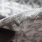 Goyard Saint Louis PM · Coated Canvas