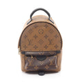 Louis Vuitton Palm Springs Mini · Monogram