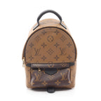 Louis Vuitton Palm Springs Mini · Monogram