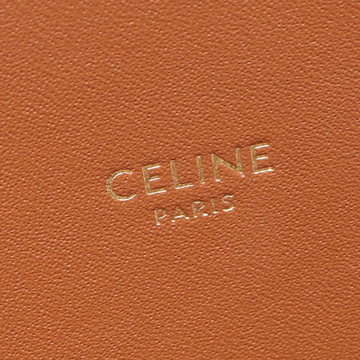 Celine Triomphe · Canvas Leather