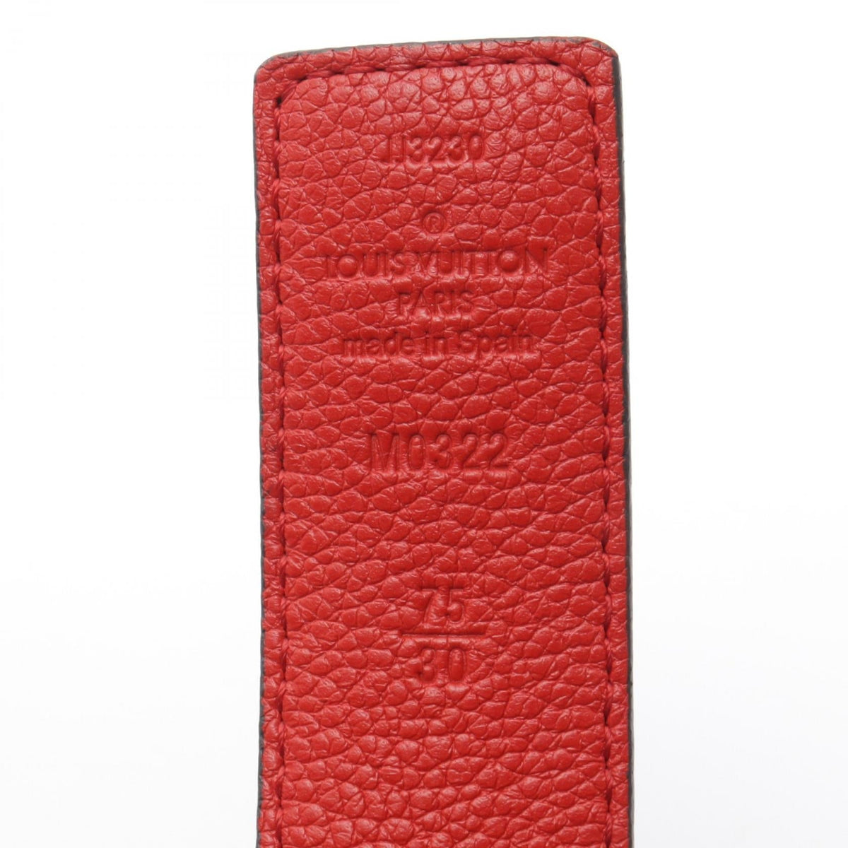 Louis Vuitton LV Initiales · Monogram Reversible