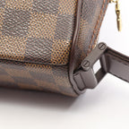 Louis Vuitton Olaf PM · Damier Ebene