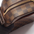 Louis Vuitton Olaf PM · Damier Ebene