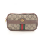 Gucci Ophidia · GG Supreme · Belt Bag