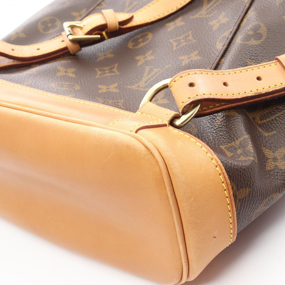 Louis Vuitton Montsouris MM · Monogram Canvas