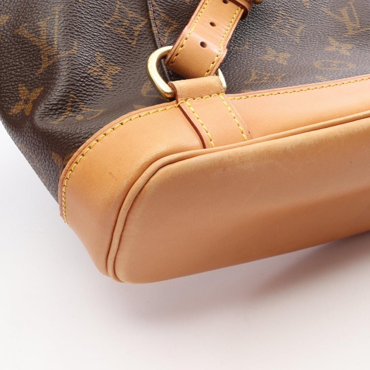 Louis Vuitton Montsouris MM · Monogram Canvas