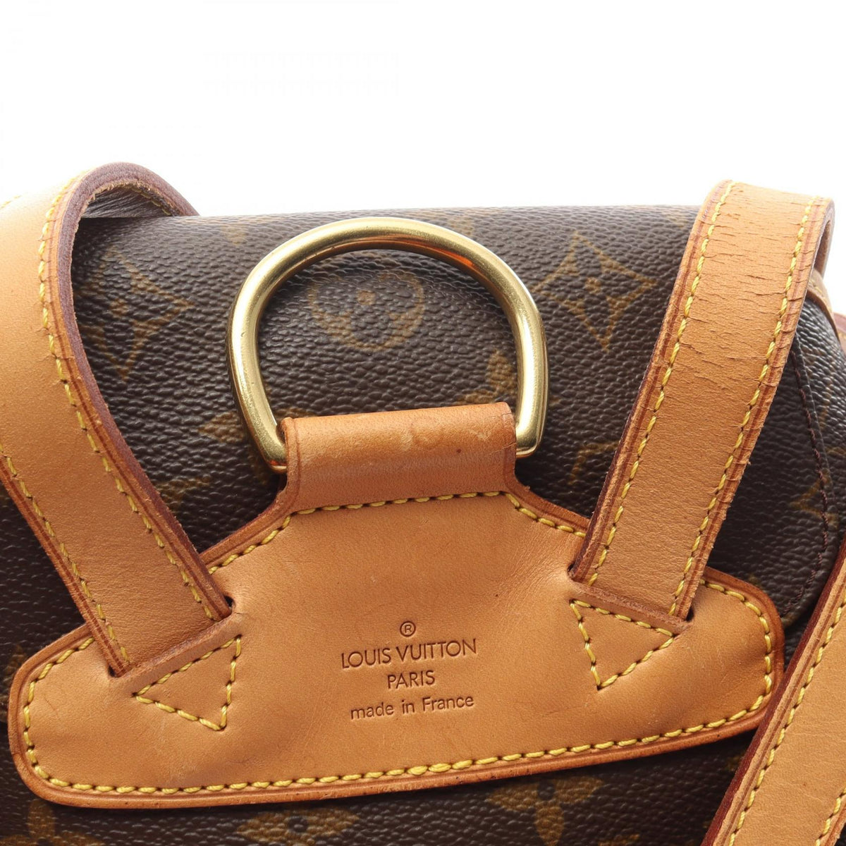 Louis Vuitton Montsouris MM · Monogram Canvas