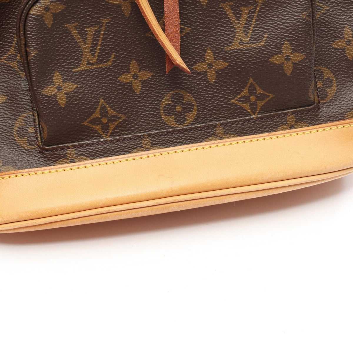 Louis Vuitton Montsouris MM · Monogram Canvas