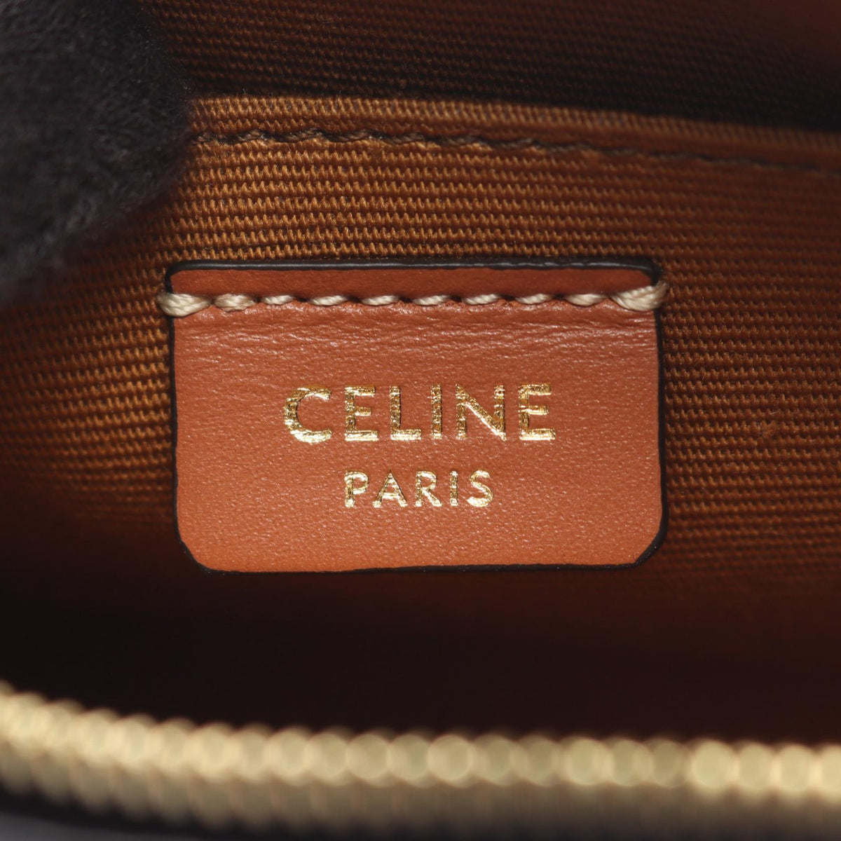 Celine Cuir Triomphe Mini Camera · Canvas