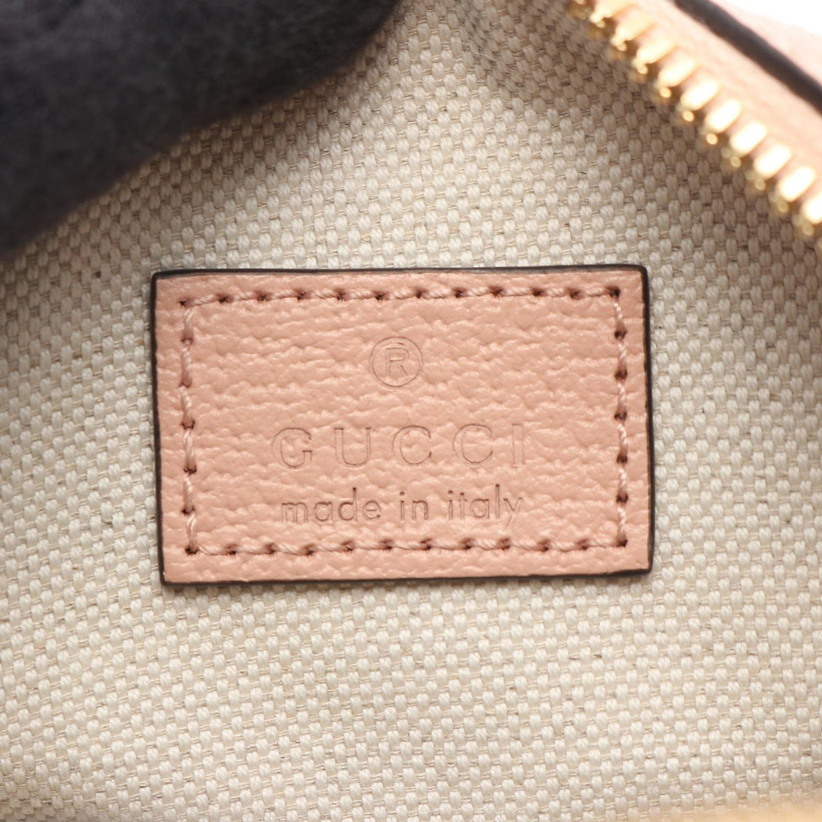 Gucci Ophidia · GG Supreme
