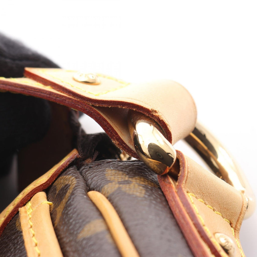 Louis Vuitton Tulum PM · Monogram Canvas