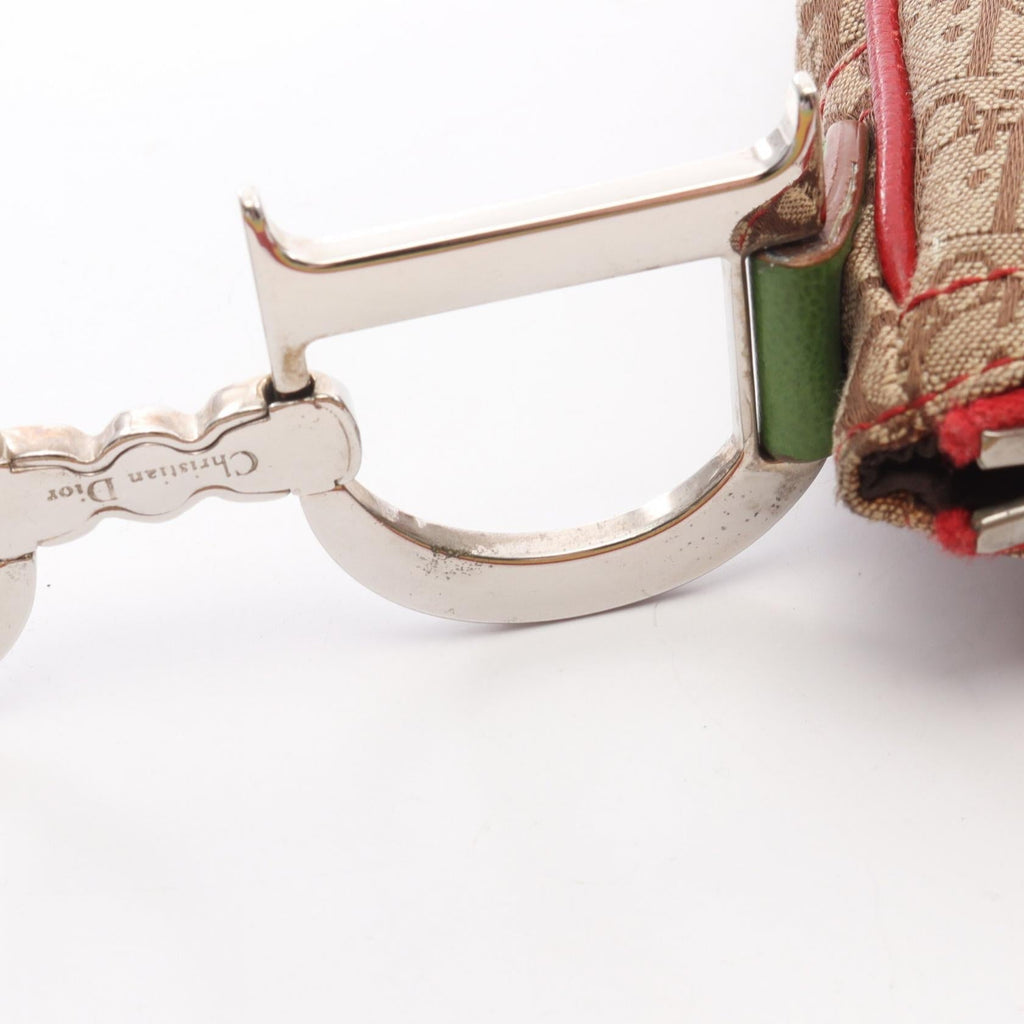 Dior Rasta Trotter Saddle · Canvas Leather