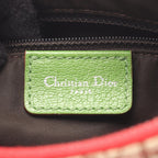 Dior Rasta Trotter Saddle · Canvas Leather