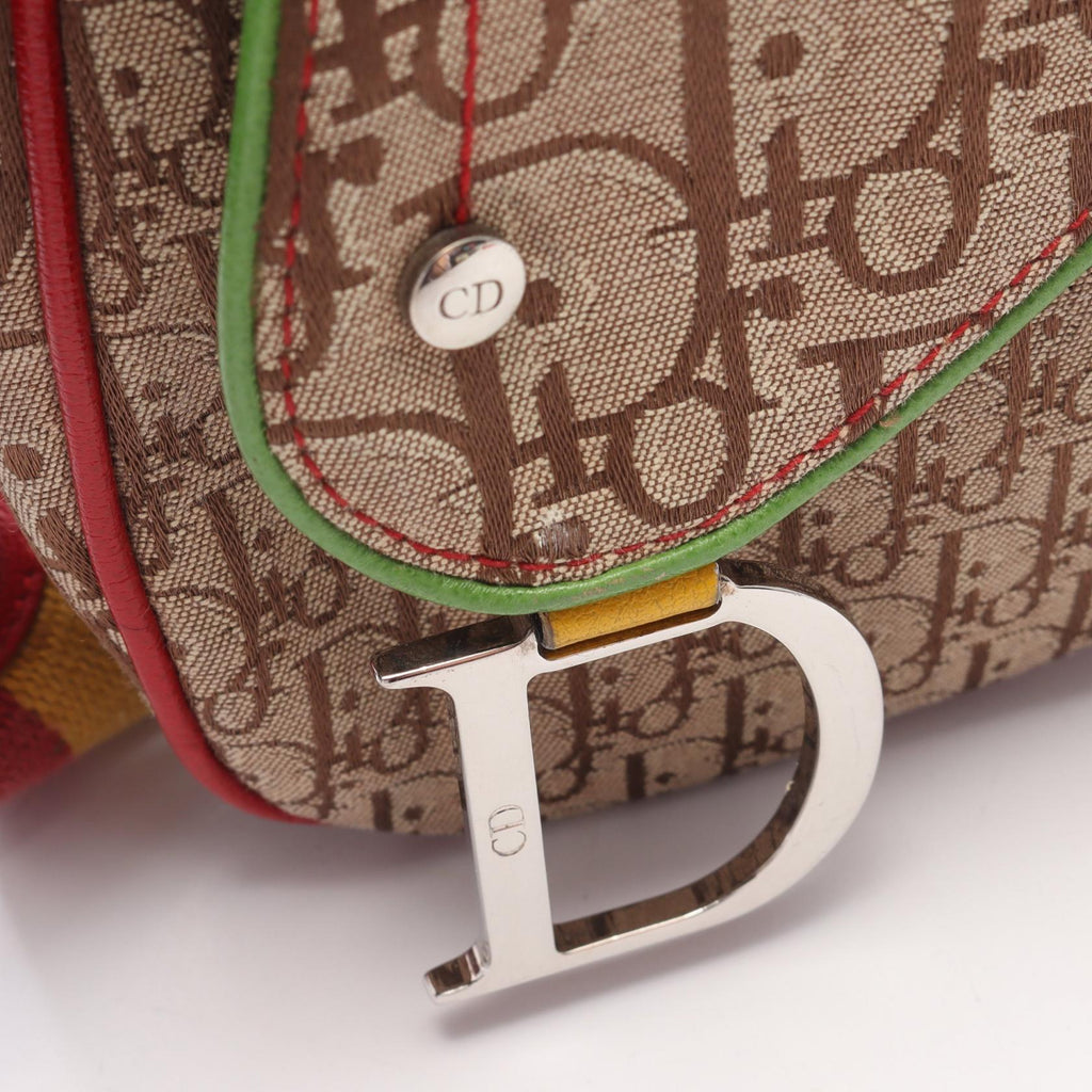 Dior Rasta Trotter Saddle · Canvas Leather