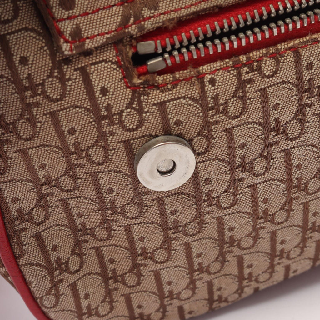 Dior Rasta Trotter Saddle · Canvas Leather