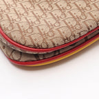 Dior Rasta Trotter Saddle · Canvas Leather