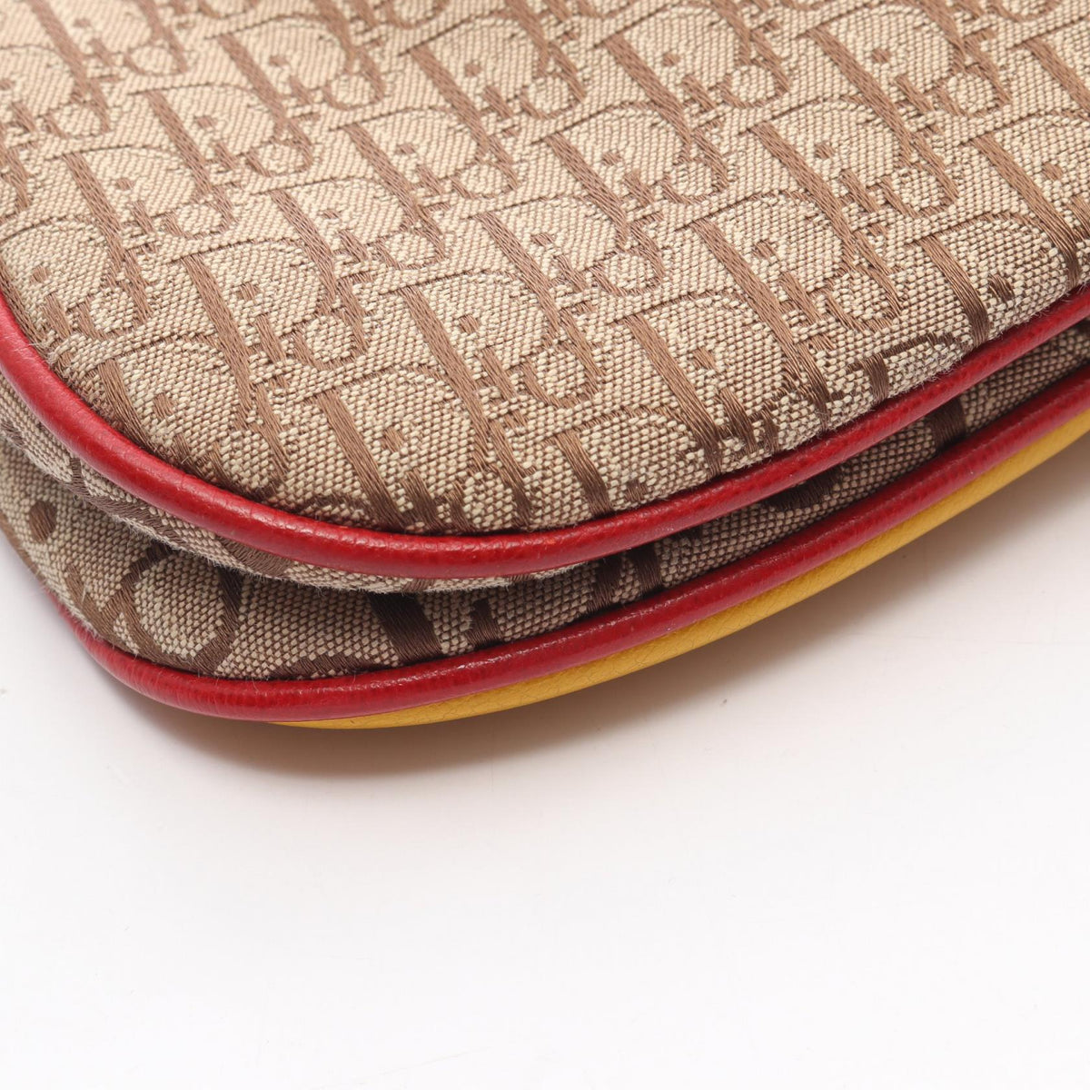 Dior Rasta Trotter Saddle · Canvas Leather