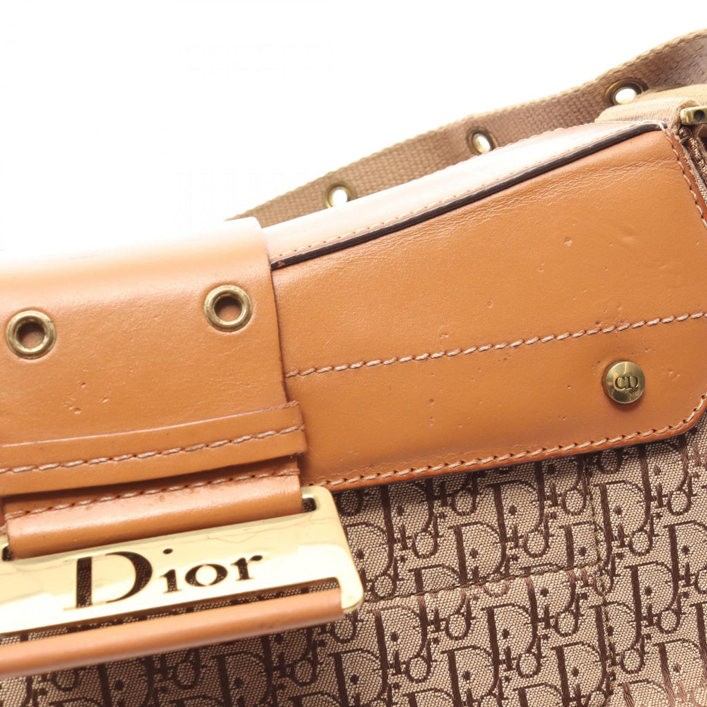 Dior Street Chic Trotter · Canvas