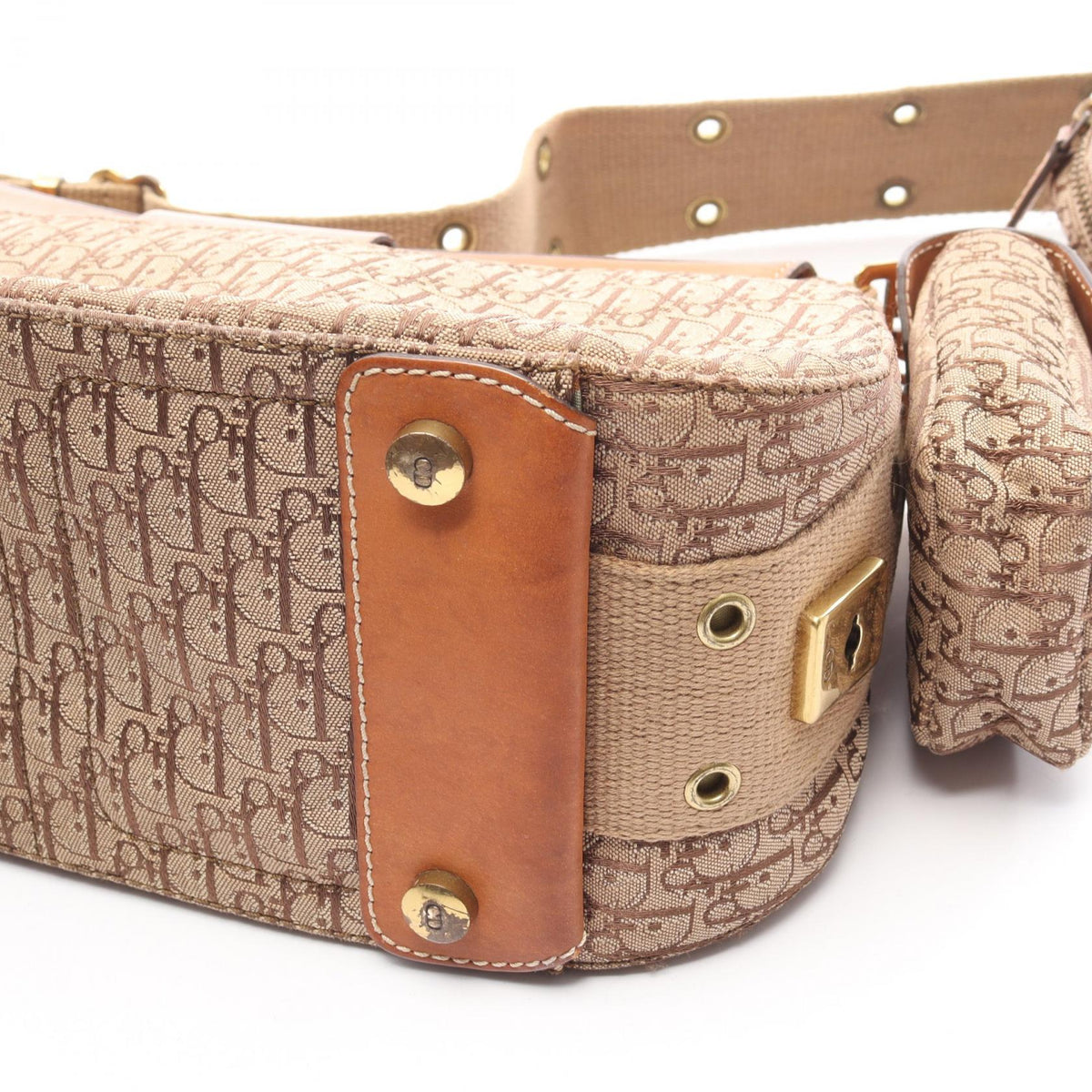 Dior Street Chic Trotter · Canvas