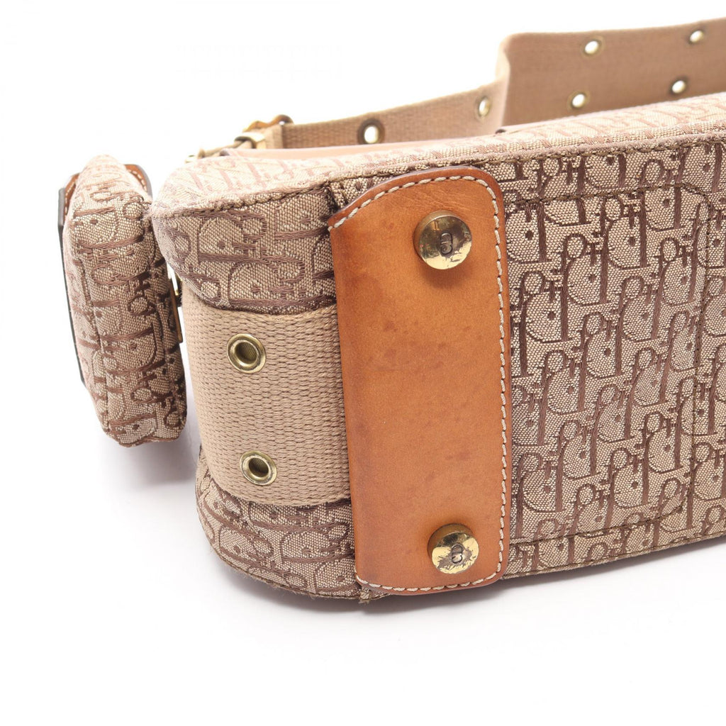 Dior Street Chic Trotter · Canvas