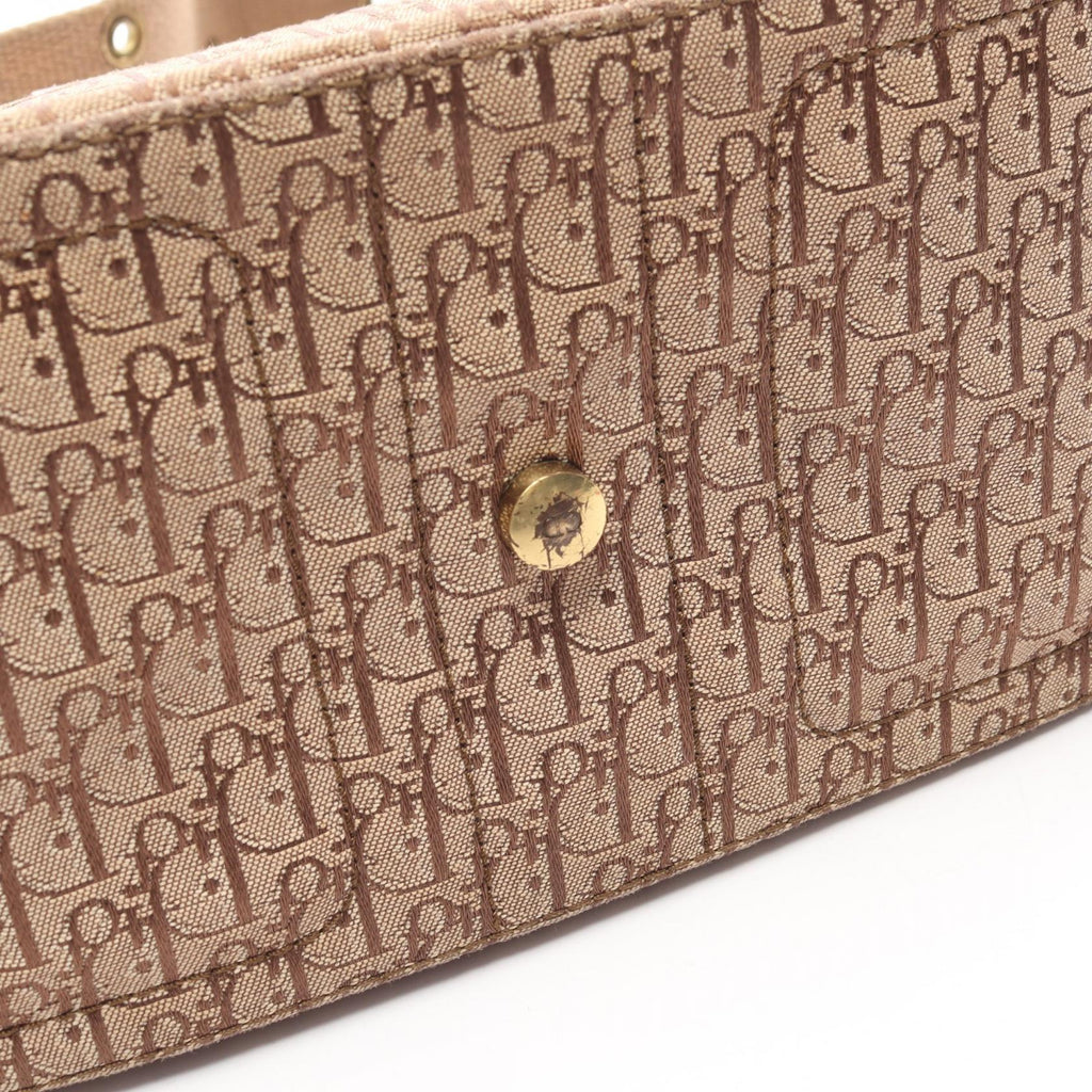 Dior Street Chic Trotter · Canvas