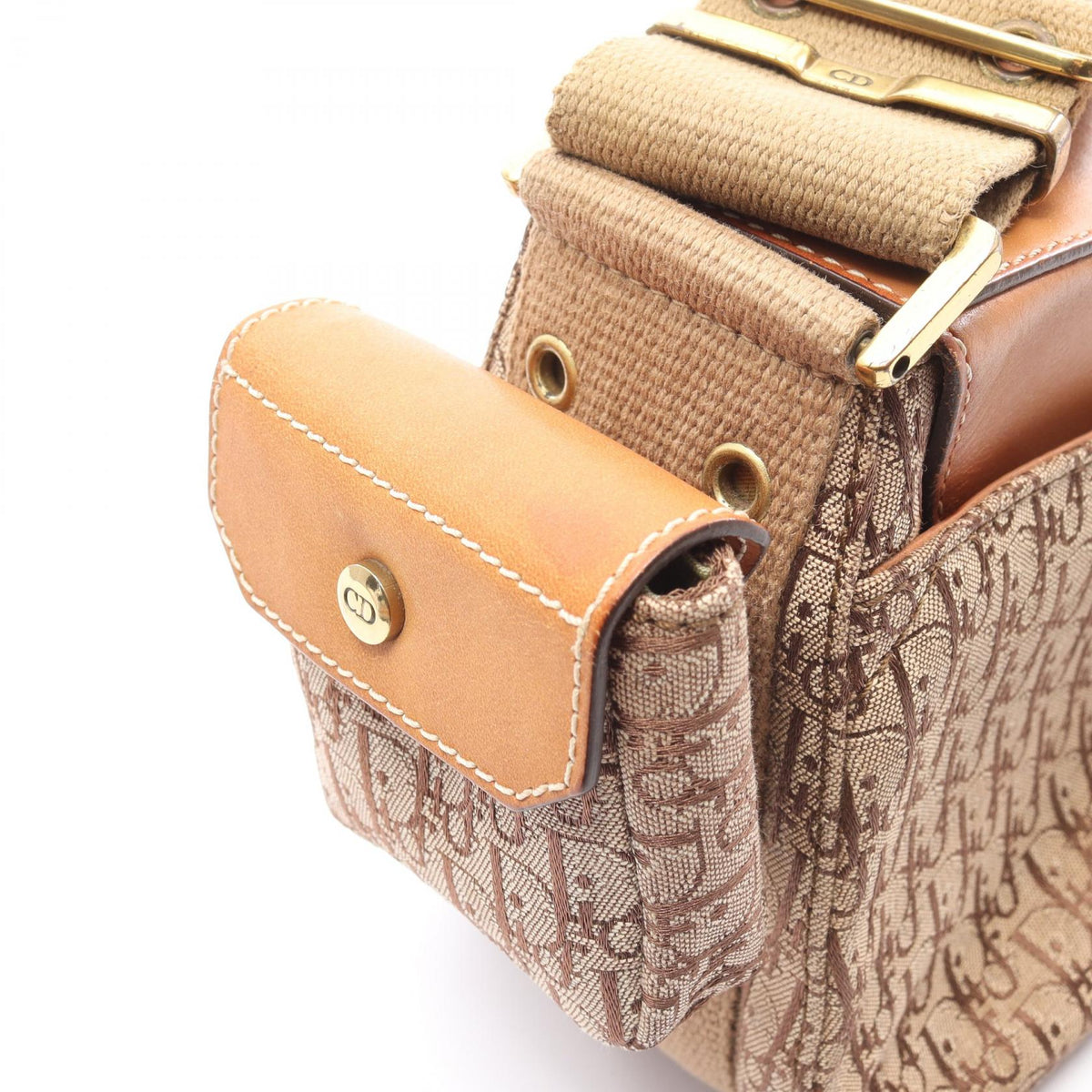 Dior Street Chic Trotter · Canvas