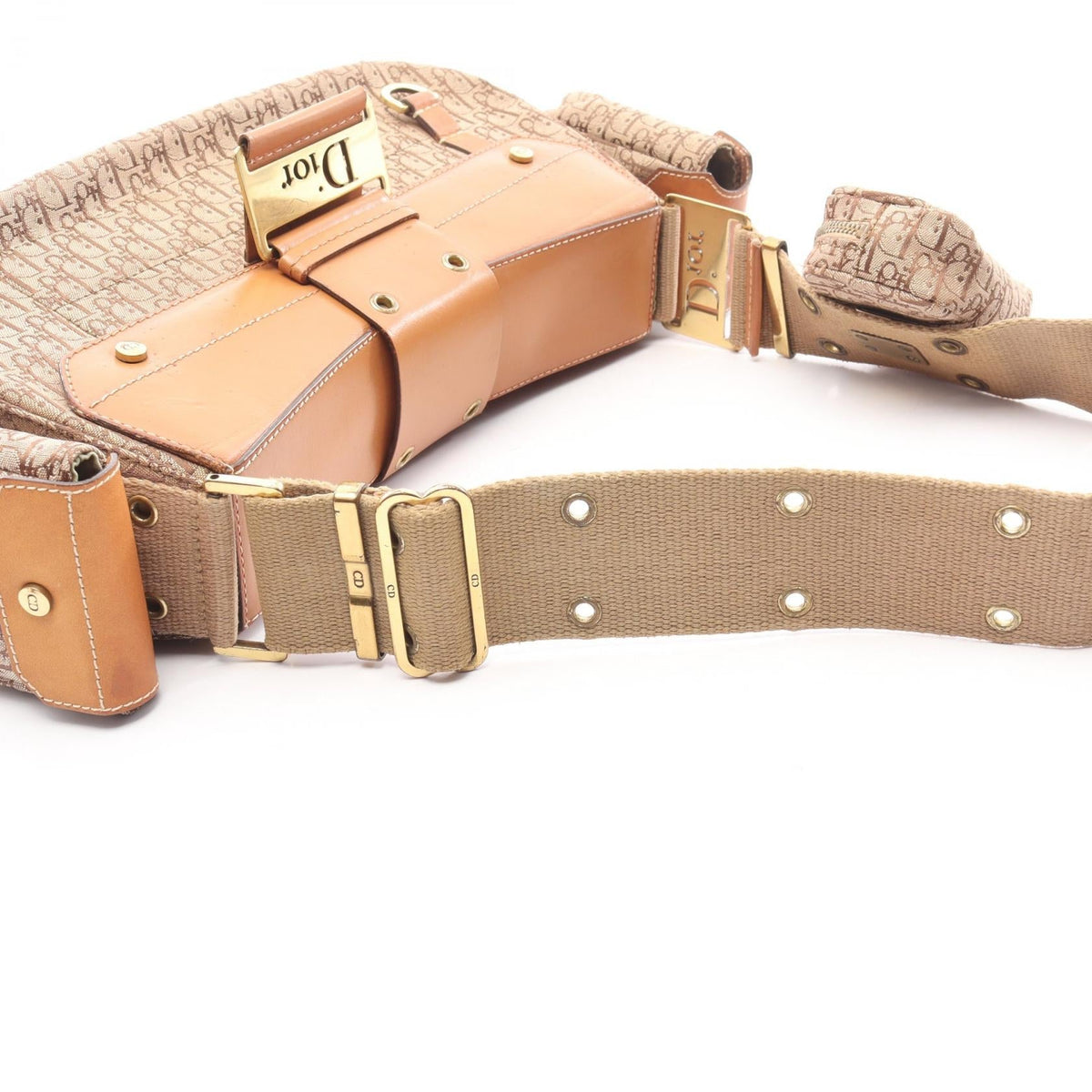 Dior Street Chic Trotter · Canvas
