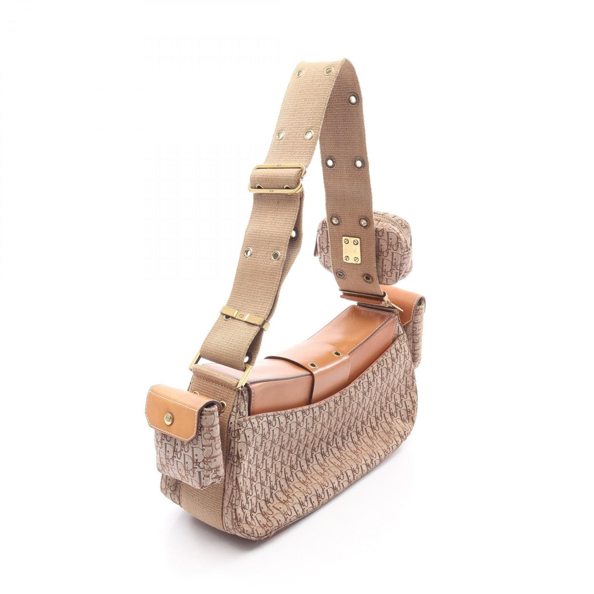 Dior Street Chic Trotter · Canvas