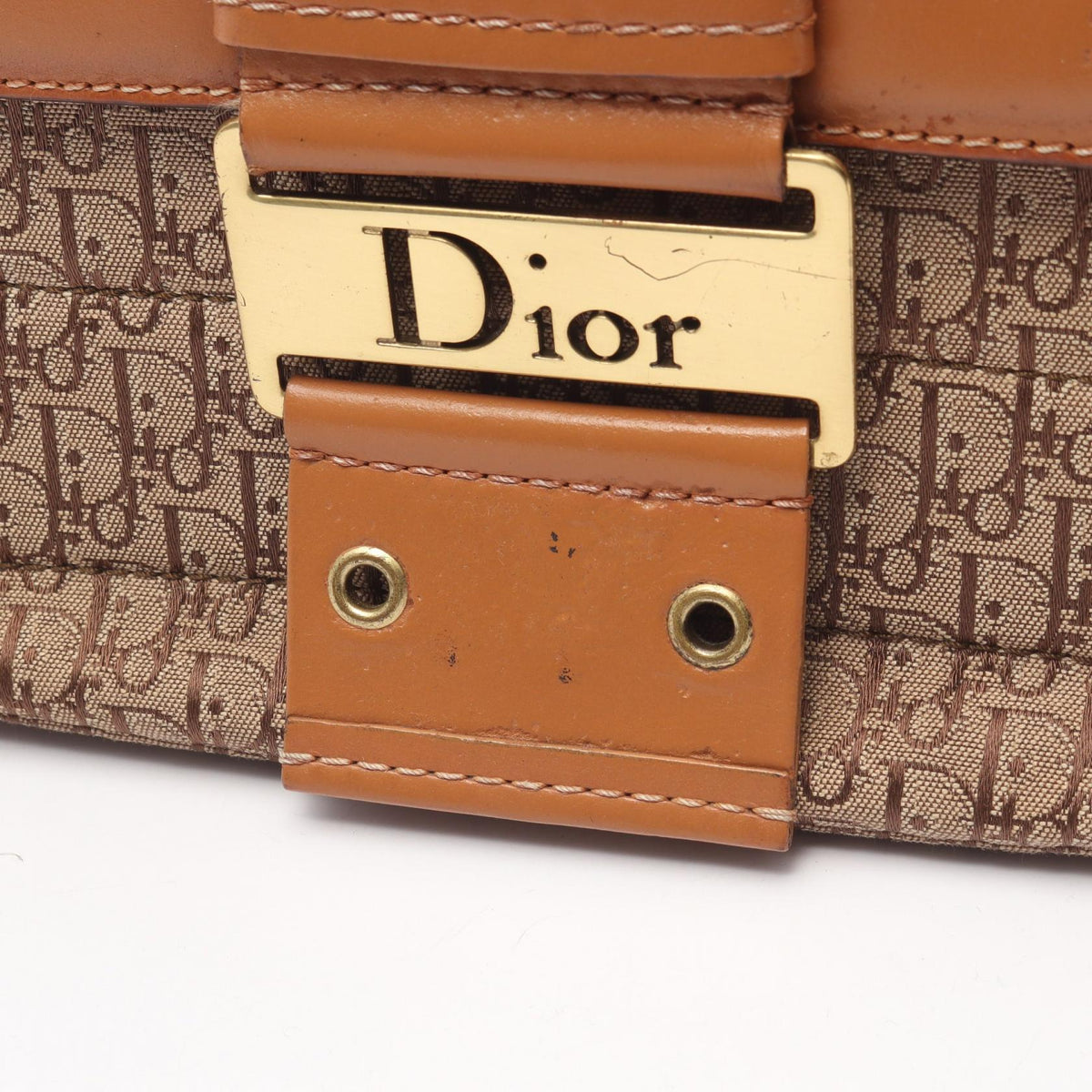 Dior Street Chic Trotter · Canvas