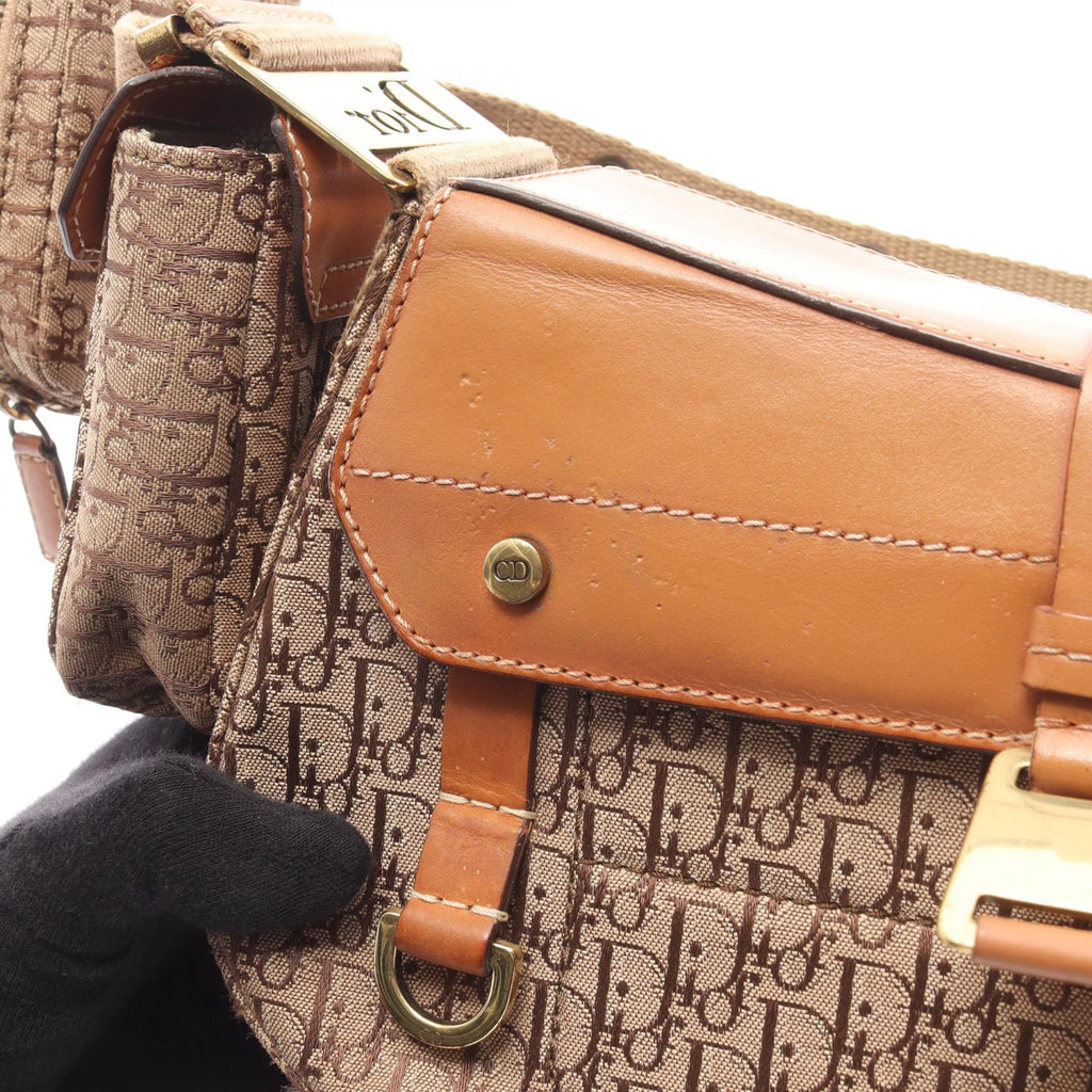 Dior Street Chic Trotter · Canvas