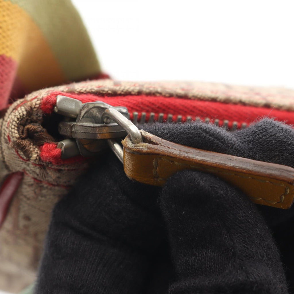 Dior Rasta Trotter Saddle · Canvas