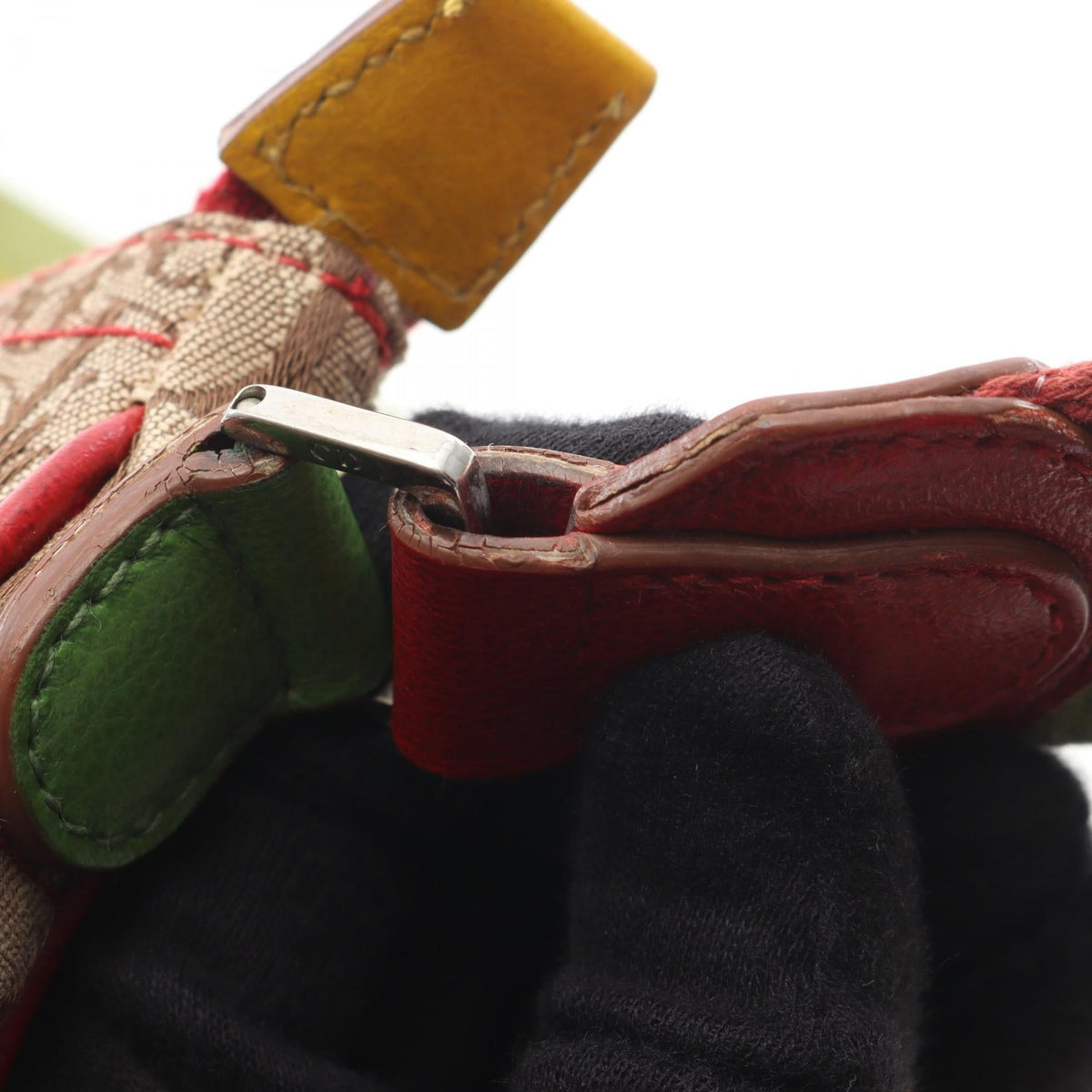 Dior Rasta Trotter Saddle · Canvas