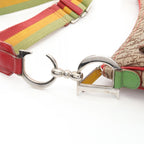 Dior Rasta Trotter Saddle · Canvas