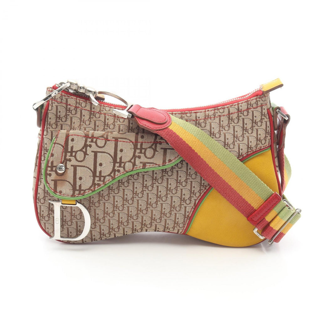 Dior Rasta Trotter Saddle · Canvas