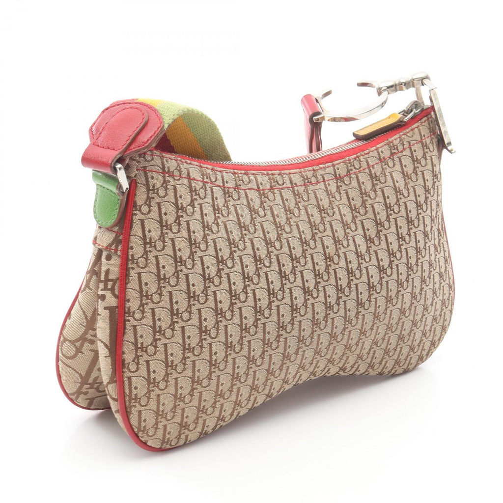 Dior Rasta Trotter Saddle · Canvas