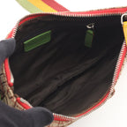 Dior Rasta Trotter Saddle · Canvas