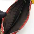 Dior Rasta Trotter Saddle · Canvas