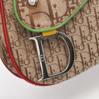 Dior Rasta Trotter Saddle · Canvas