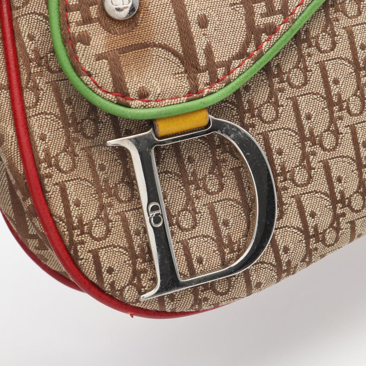 Dior Rasta Trotter Saddle · Canvas