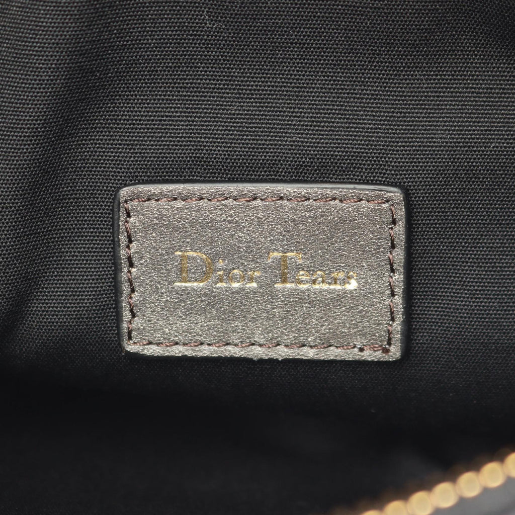 Dior Tears Saddle · Leather Crossbody