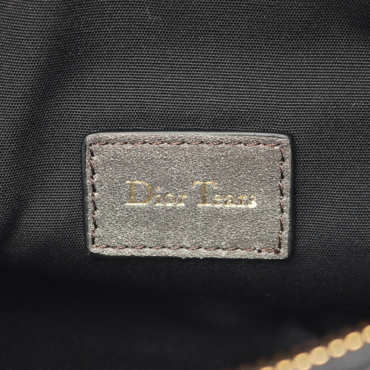 Dior Tears Saddle · Leather Crossbody