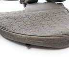Dior Tears Saddle · Leather Crossbody