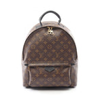 Louis Vuitton Palm Springs MM · Monogram