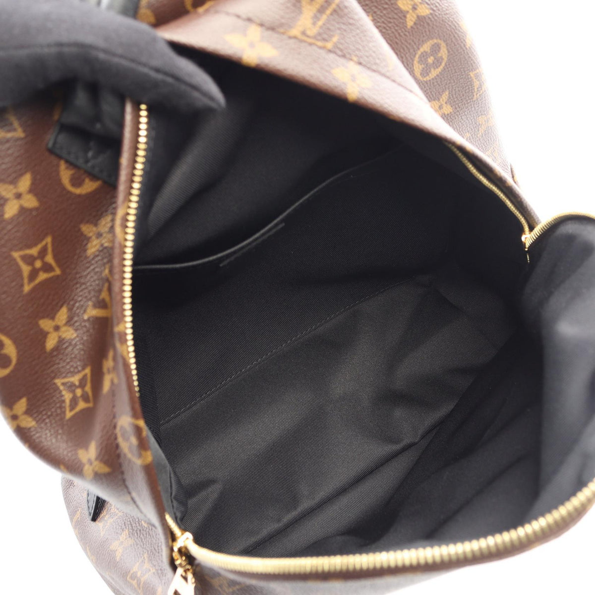 Louis Vuitton Palm Springs MM · Monogram