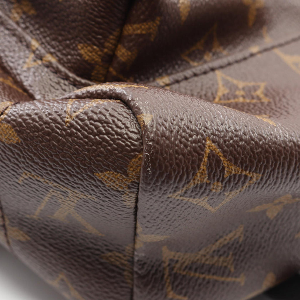 Louis Vuitton Palm Springs MM · Monogram