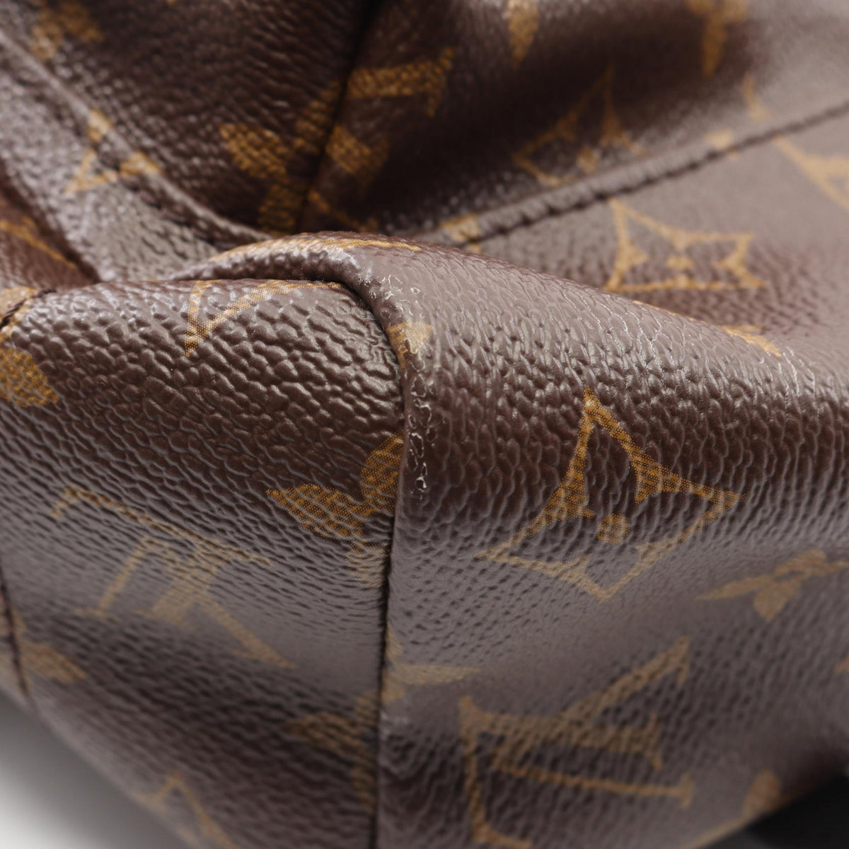 Louis Vuitton Palm Springs MM · Monogram