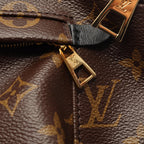 Louis Vuitton Palm Springs MM · Monogram