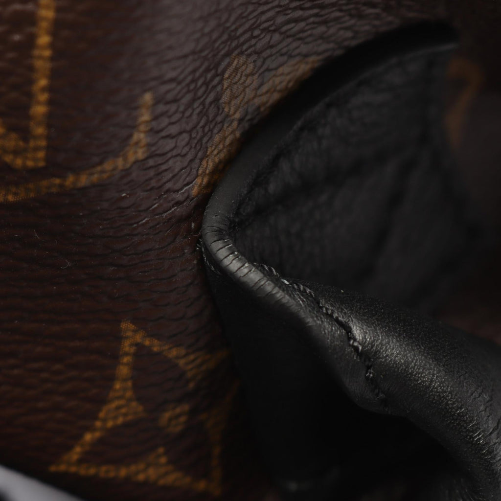 Louis Vuitton Palm Springs MM · Monogram