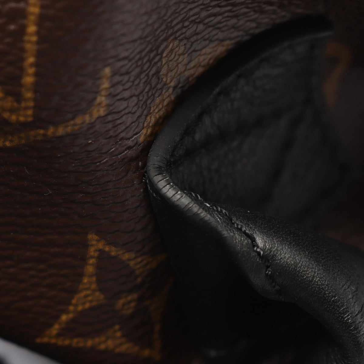 Louis Vuitton Palm Springs MM · Monogram