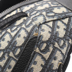 Dior Scarab · Oblique Canvas · Belt Bag